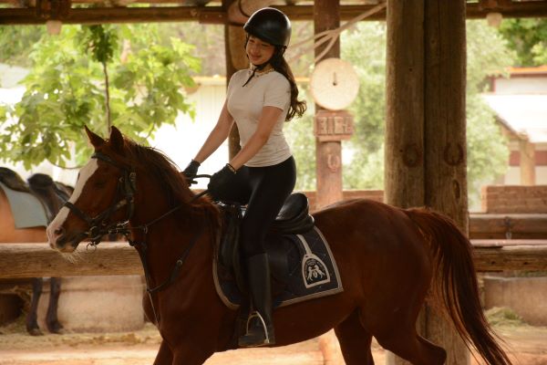 Horse Riding Lessons