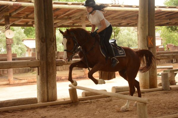 Horse Riding Lessons
