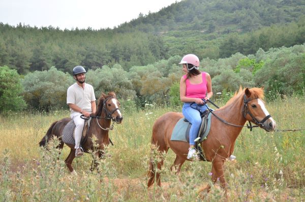 Horse Safari